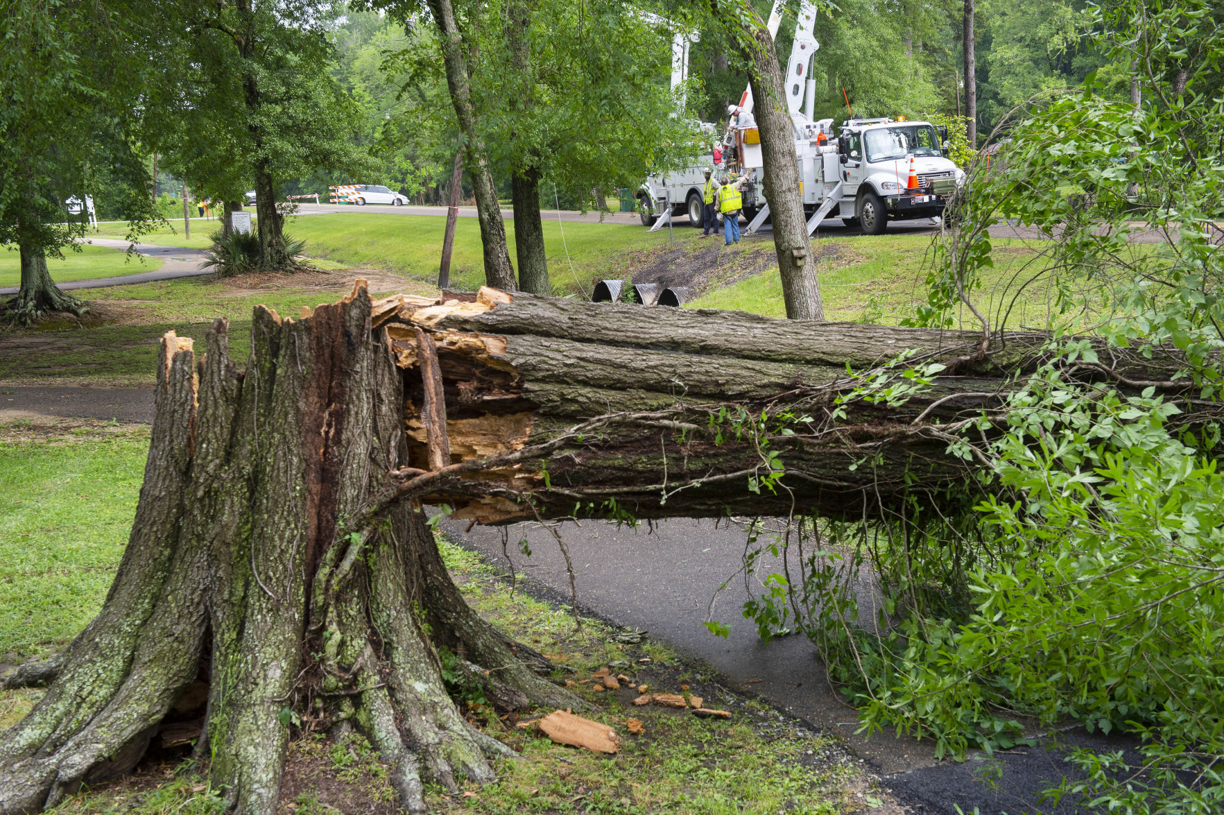 BR.walkerstormdamage.042420 TS 131.JPG